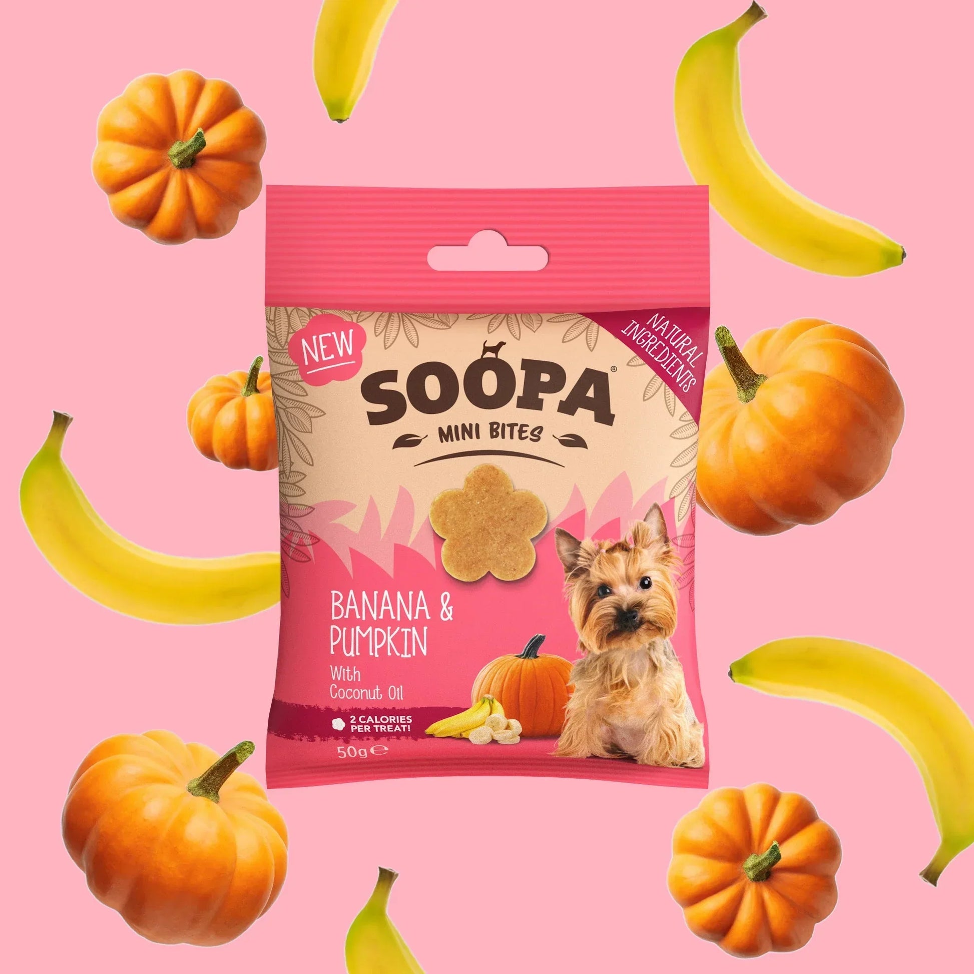 Soopa Banana & Pumpkin | Healthy Bites for Mini Dogs